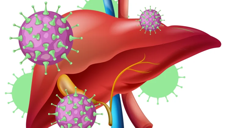 How Different Types of Hepatitis Spread