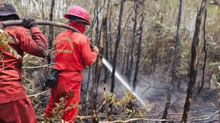 Indonesia Intensifies Forest Fire Cooling in South Sumatra