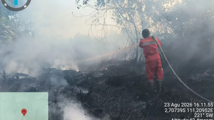 Analyst: Indonesia Needs Stronger Diplomacy to Address Forest Fires