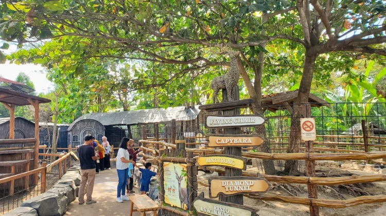 Pony Park Klaten Offers Family Wildlife and Education