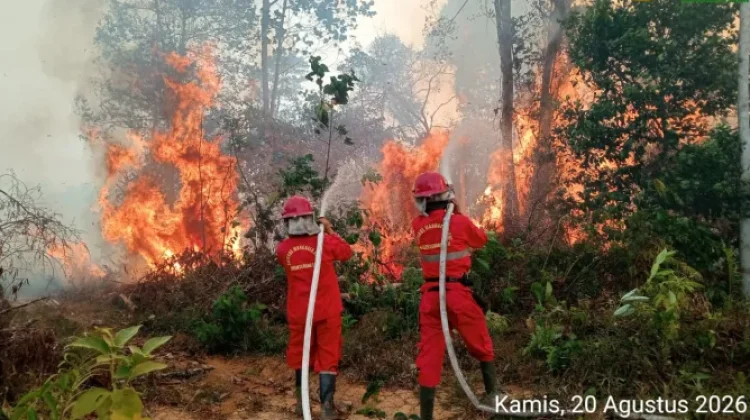 BMKG: Forest Fire Risks Persist until Rainy Season