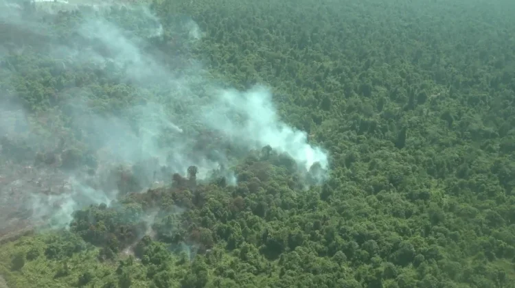 Doctor Warns Wildfire Smoke Particles Can Harm the Lungs