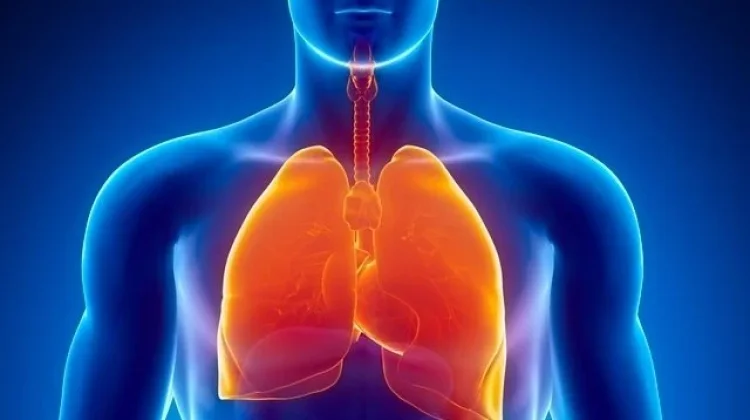 Dry Season Increases Risk of Dehydration and Respiratory Problems