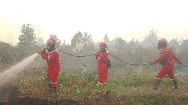 Govt Strengthens Forest and Land Fire Control in 6 Priority Provinces