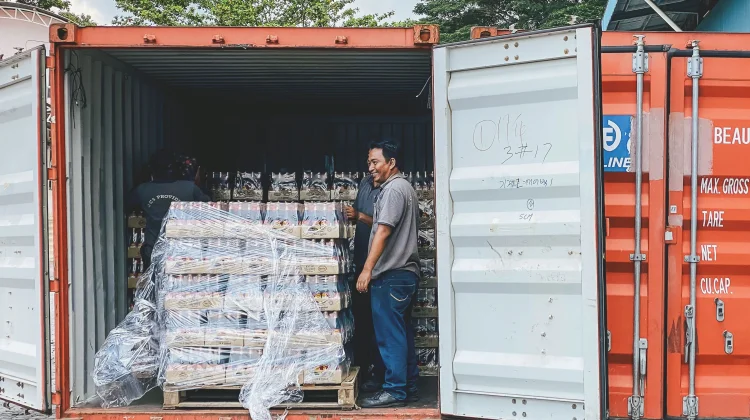 Govt Aligns Java-Sumatra Export Development Programs