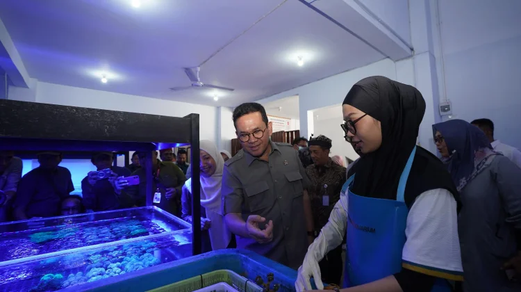 Indonesia Ships Live Coral Exports to the US