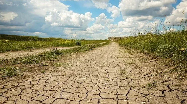 Indonesia’s Dry Season Poses Different Health Risks from Europe’s Heatwaves