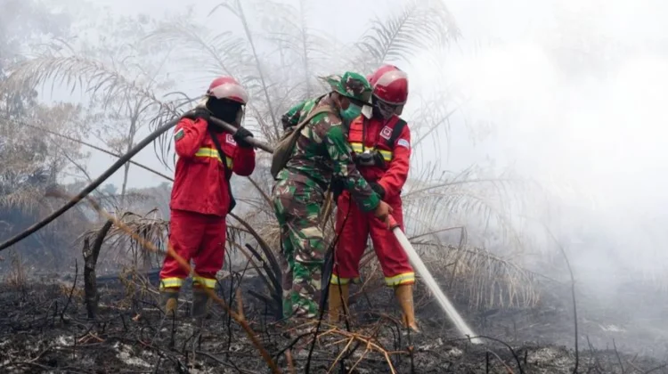 Forestry Ministry Remains Alert as Wildfire Hotspots Rise