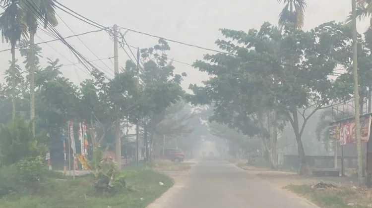 Indonesia Enhances Health Response as Forest Fires Affect 10.6 Million People
