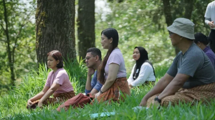 Sapu Angin Offers a Quiet Escape in Indonesia's Hidden Merapi Forest