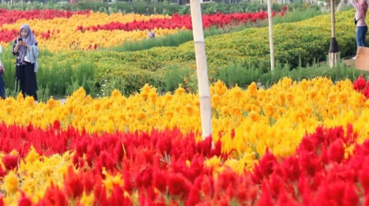 Tamansuruh Agro Tourism Blends Farming and Scenic Beauty