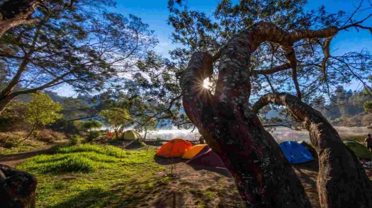 Ranu Regulo Invites Visitors to Pause and Unwind
