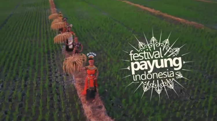 Indonesia Umbrella Festival: Where Umbrellas Become Art