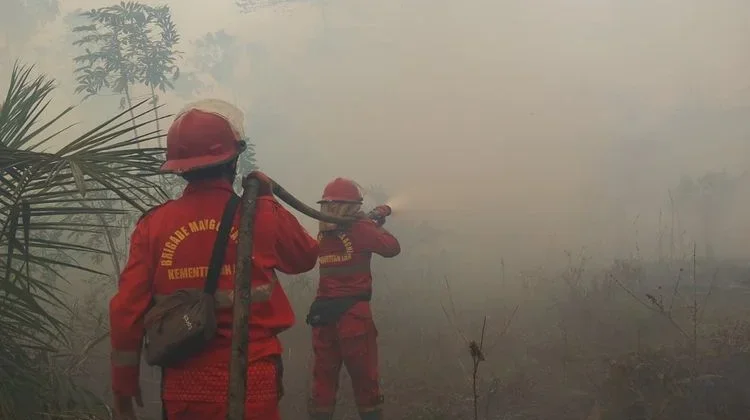 Forestry Ministry Strengthens Forest and Land Fire Control in Six Provinces