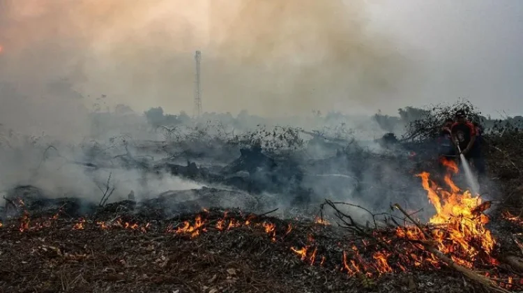 BNPB: 98 Percent of Peatland Fires Extinguished