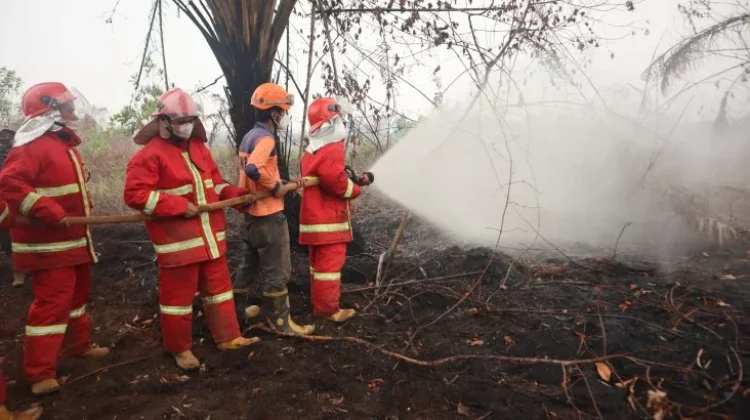 BNPB Fights Forest, Land Fires until Rainy Season