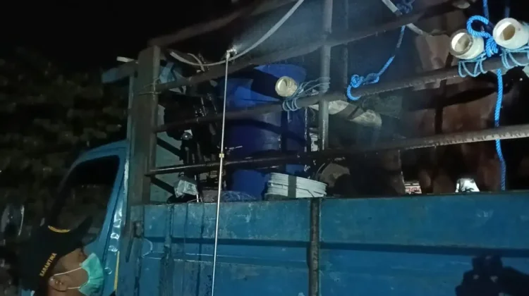 Barantin Tightens Horse Transport to Prevent Surra Spread