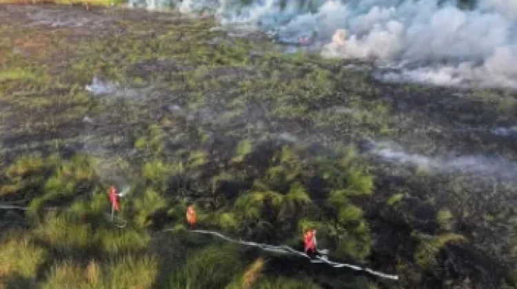 Polri Names 138 Suspects in Forest, Land Fires