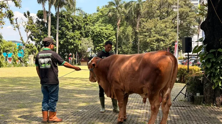 Agriculture Ministry Urges Universities to Strengthen Livestock Downstreaming