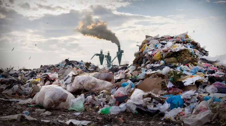 Indonesia Enhances Environmental Law Enforcement and Waste Management