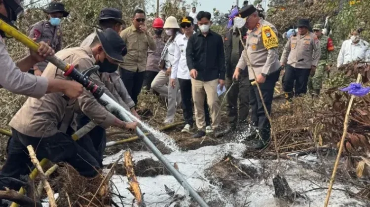 VP Gibran Oversaw Forest Fire Management in Three Kalimantan Provinces