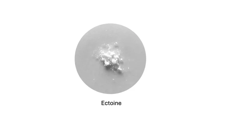 BRIN Boosts Ectoine Production 133-Fold Through Marine Microbial Engineering