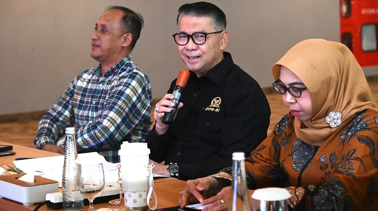 House Sees Bali Hospital as Potential Medical Tourism Hub
