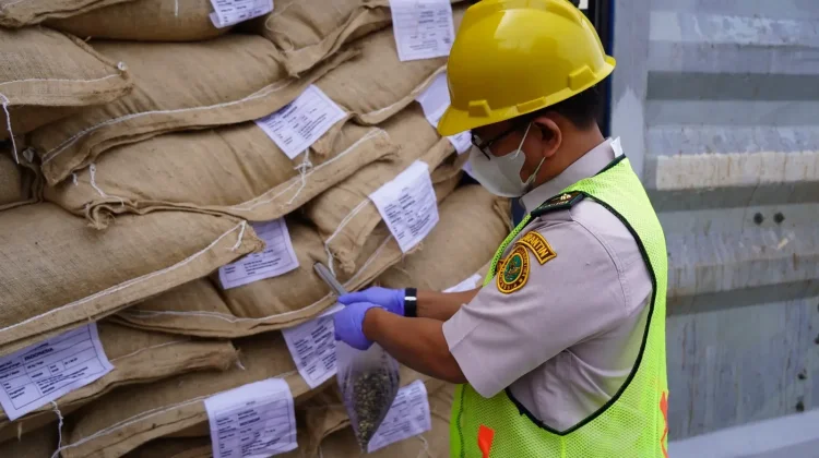 Barantin Launches Export Clinic to Help MSMEs Break into International Markets