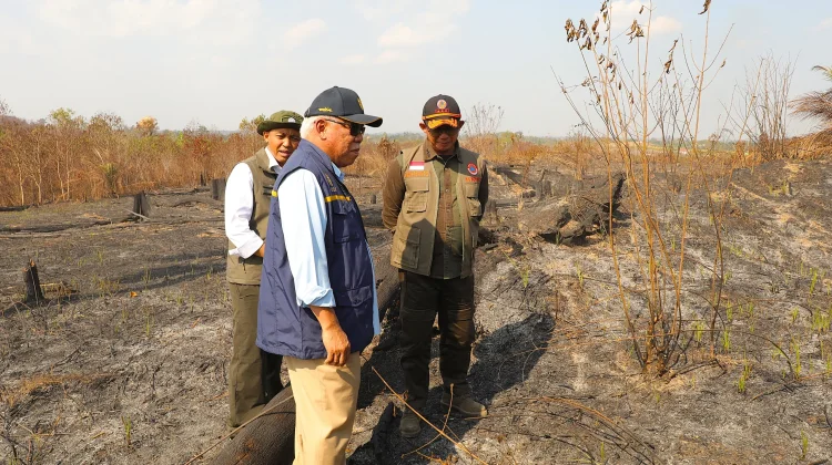 BNPB Strengthens Forest Fire Response in East Kalimantan