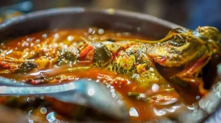Masam Jing: A Warm Bowl of Gayo Flavor