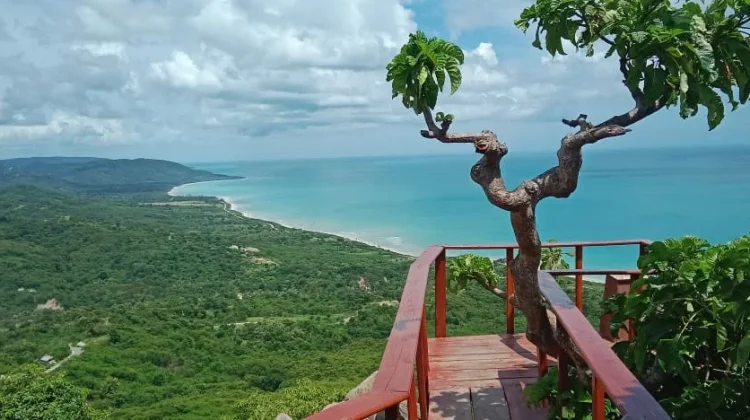 Fatubraun Hill Highlights the Natural Beauty of Kupang Regency