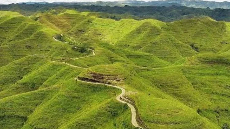 Bukit Ledongara Offers Stunning Hillside and Sea Views in East Nusa Tenggara