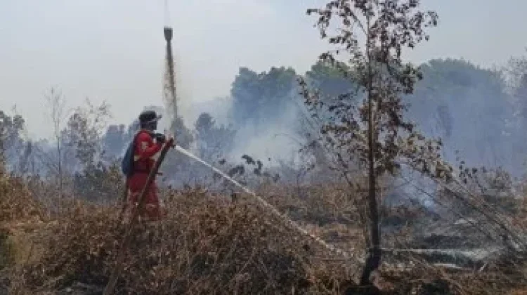 National Hotspots Down by 400 as Ground and Aerial Operations Continue