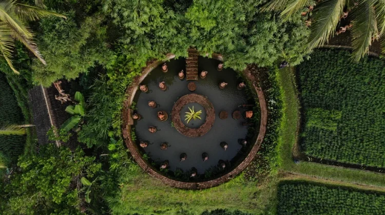 Tamansari Tourism Village Blends Nature and Osing Culture
