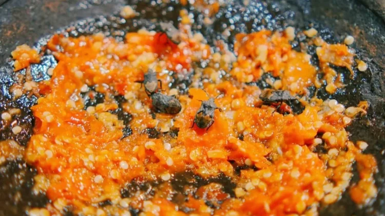 Gunungkidul Sambal Beser Blends Chilies with Seasonal Bugs