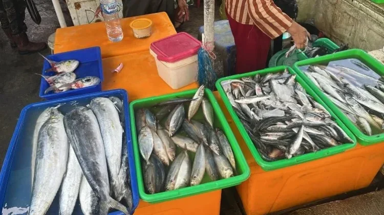 Indonesian Parliament Urges Kitchens to Source Local Fish
