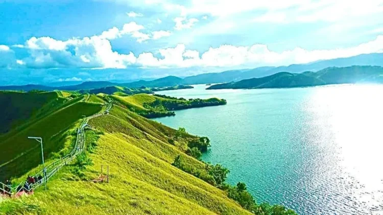 Tungkuwiri Hill: a Scenic Natural Escape in Jayapura