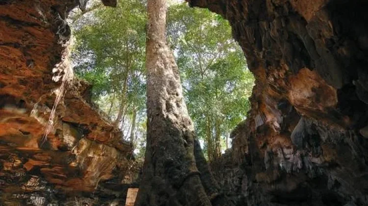 Gunungkidul Offers Cave Tourism Beyond Its Southern Beaches