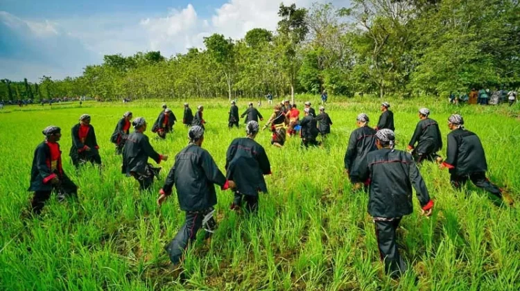 Cing Cing Goling Preserves Gratitude and Unity