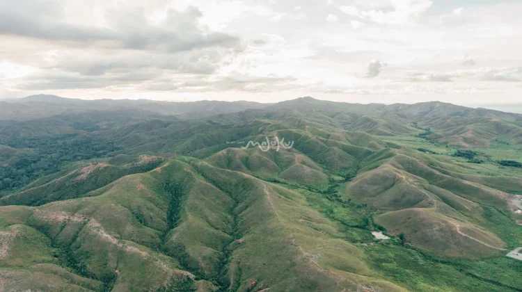 Bukit Tatanggo Offers Scenic Views and White-Gum Hills