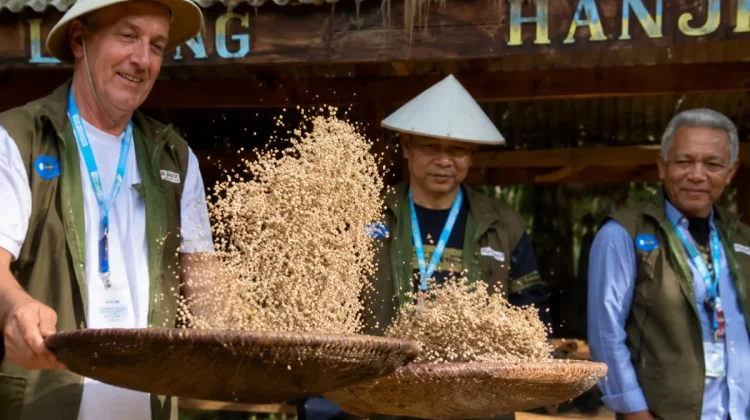 Hanjeli Seeds: Ancient Grain for Global Food Resilience