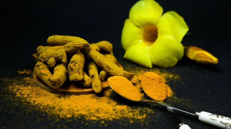 Curcuma: Temulawak Rhizome for Liver Health