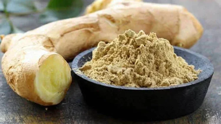 White Turmeric: Potential Antioxidant, Digestive, and Skin Health Applications