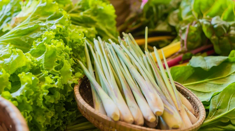 Lemongrass: Antioxidant and Relaxation Benefits