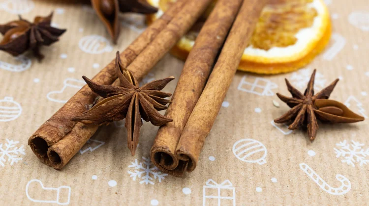 Cinnamomum Burmannii: Indonesian Cinnamon for Natural Health Benefits