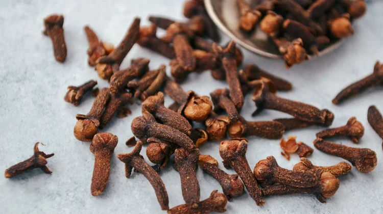 Syzygium Aromaticum: Clove Rich in Eugenol for Oral Health