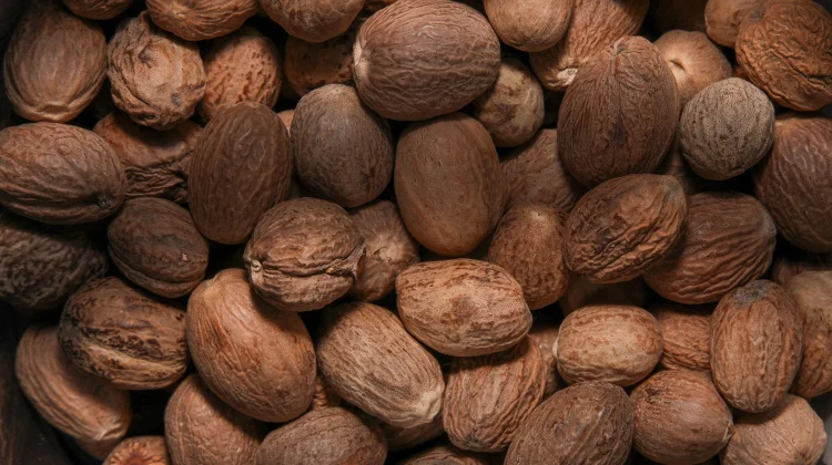 Myristica Fragrans: Indonesian Nutmeg with Antioxidant and Wellness Potential