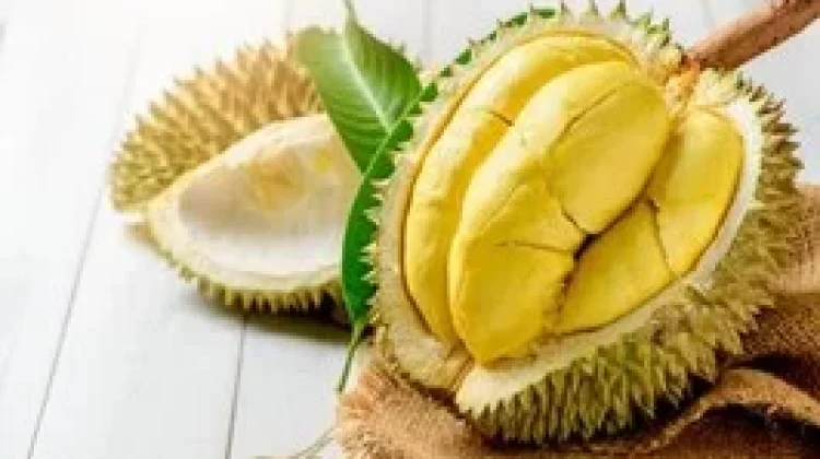 Durio Zibethinus: Indonesian Durian for Bioactive & Nutritional Value