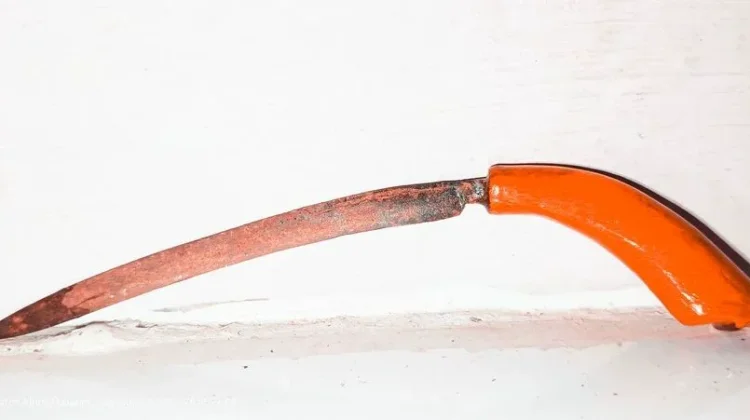 Badik Lampung: A Traditional Symbol of Lampung Identity