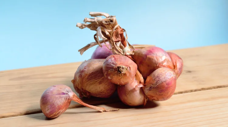 The Hidden Quercetin Benefits in Everyday Onions